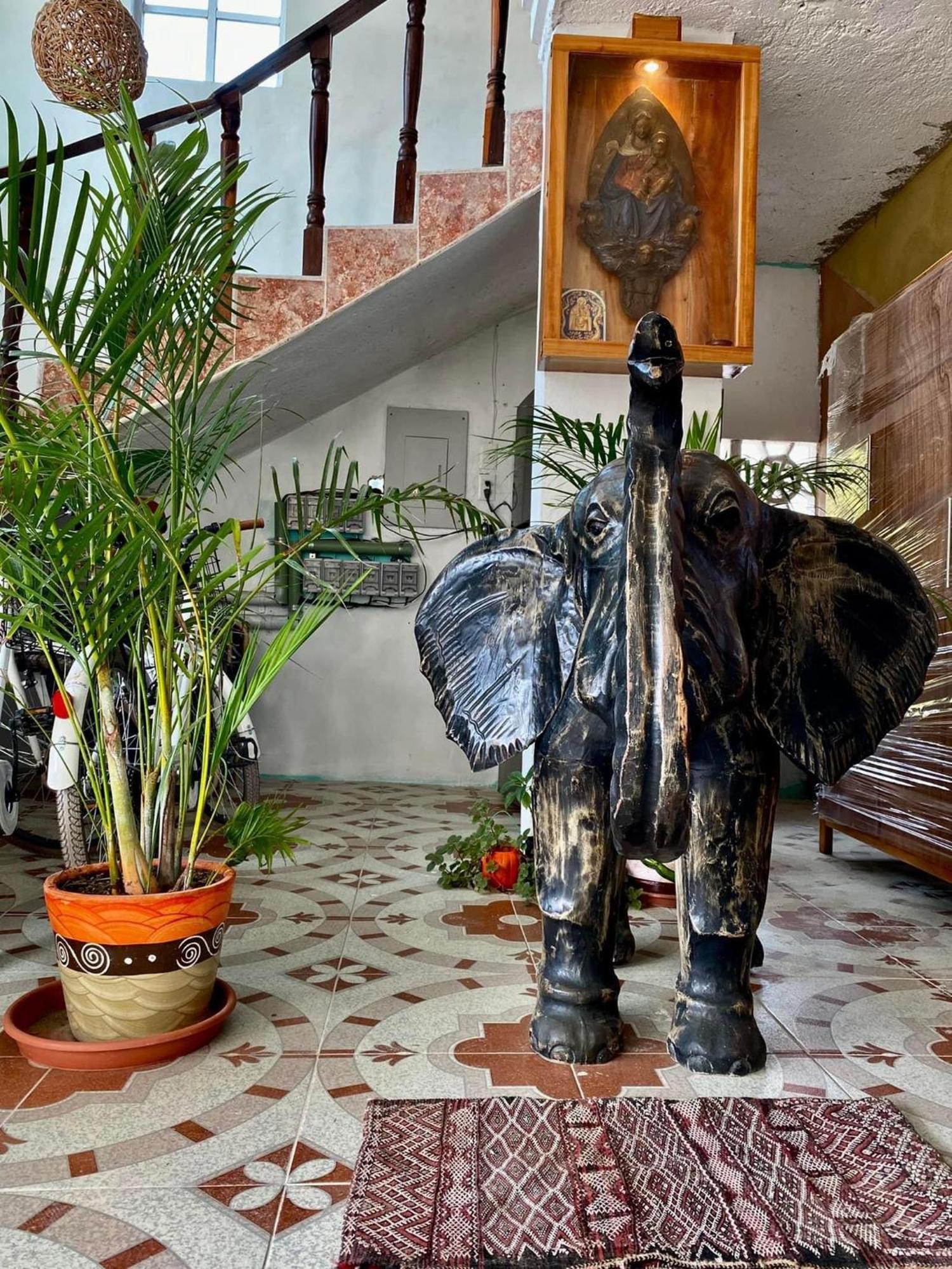Casa Gajah Hotel Cuyo Exteriér fotografie